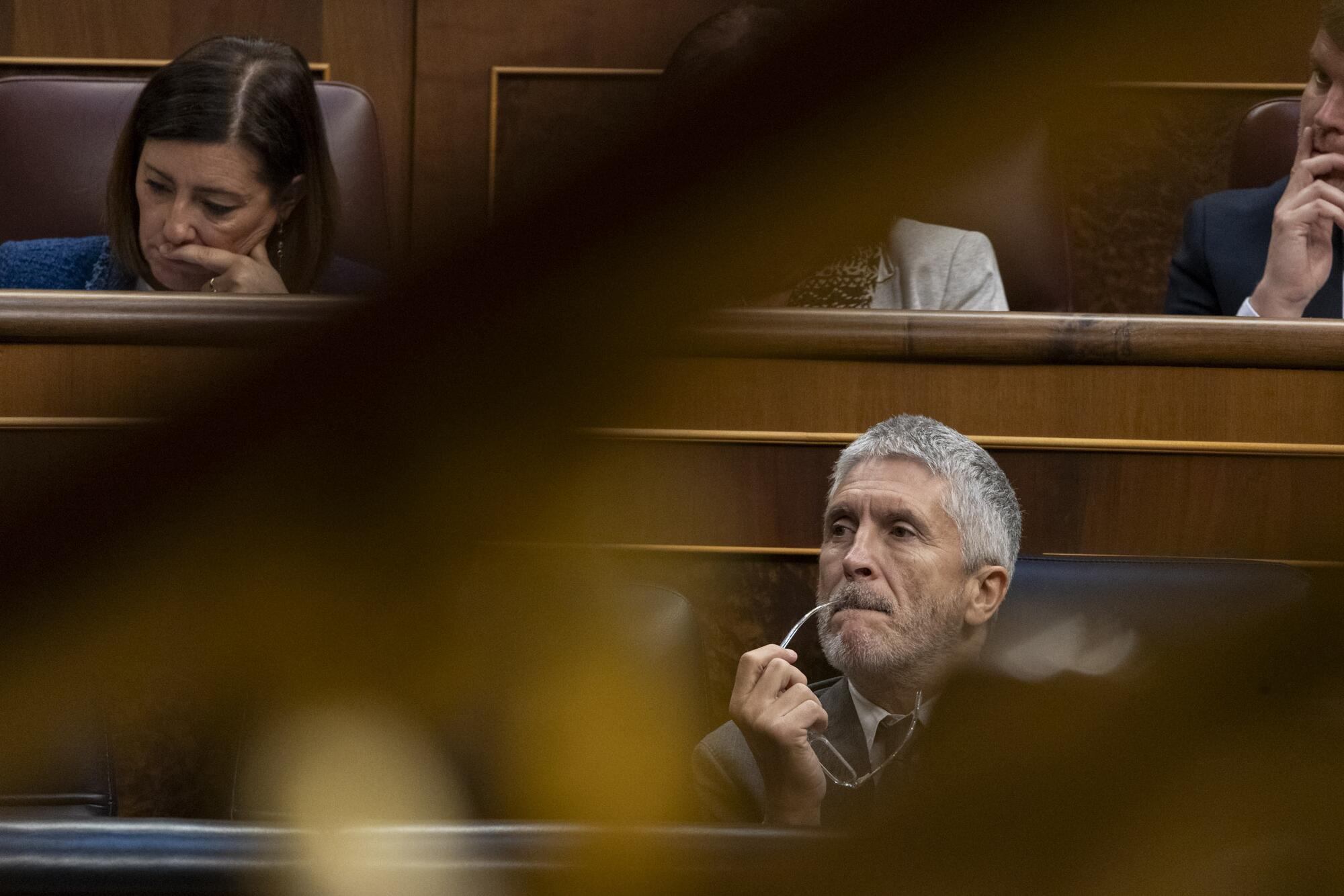 Sesion control Congreso 22-05-2024 - 18 Fernando Grande-Marlaska